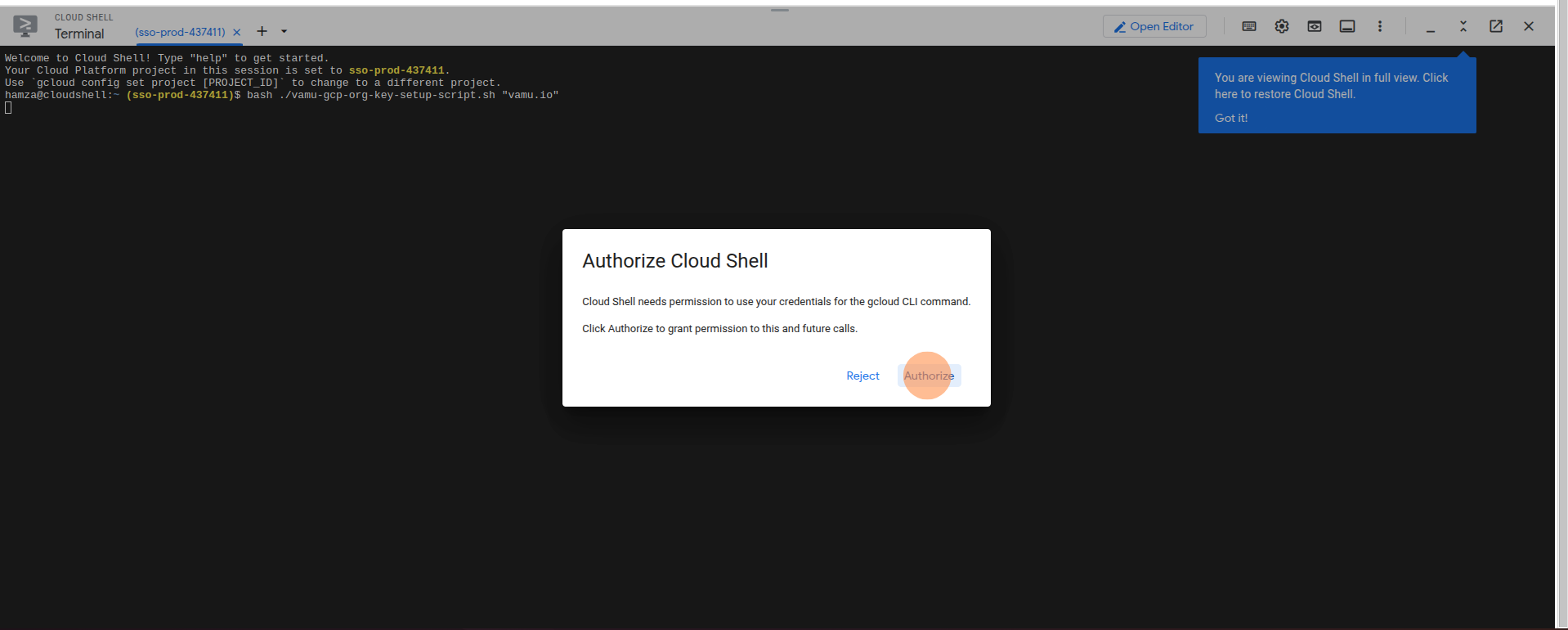 Authorize Cloud Shell script
