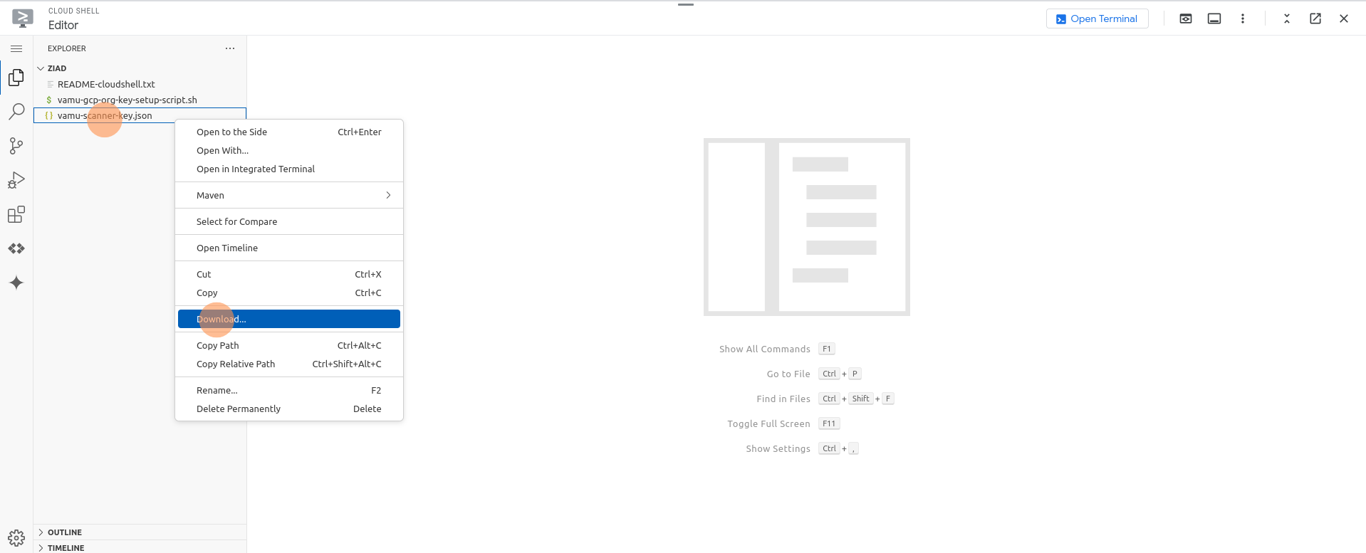 Download scanner key